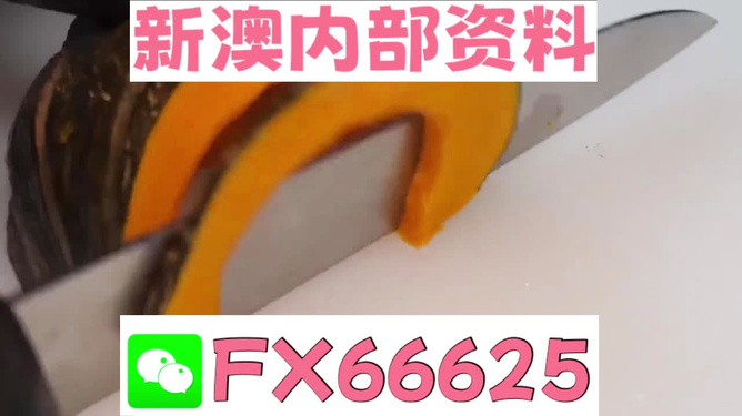 澳門管家婆，揭秘精準預測的秘密武器，澳門管家婆揭秘，精準預測的秘密武器全解析