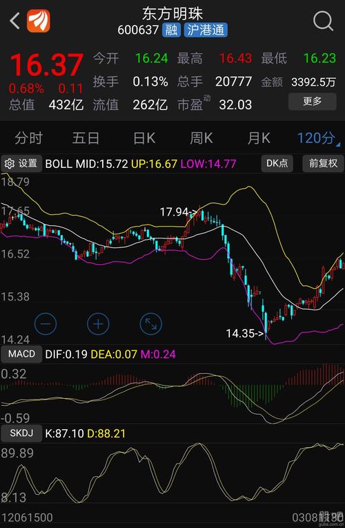 東方明珠股票股，投資前景深度解析，東方明珠股票投資前景深度解析，股票股展望與策略探討