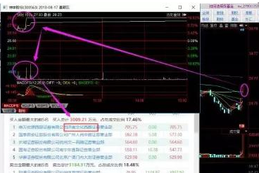 探索300563股吧的獨(dú)特魅力與機(jī)遇，揭秘300563股吧，獨(dú)特魅力與無限機(jī)遇