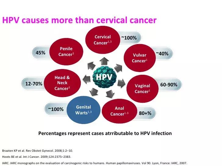 HPV52陽性可以自愈嗎？詳解HPV感染與身體康復(fù)之路，HPV52陽性能否自愈？HPV感染與身體康復(fù)的詳解之路