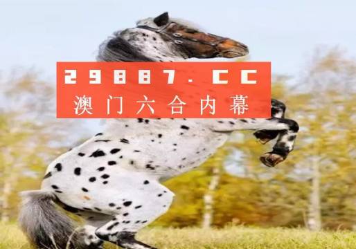 揭秘白小姐王中王四不像圖一，探尋肖中特的神秘面紗，揭秘白小姐王中王四不像圖與肖中特神秘面紗的背后真相