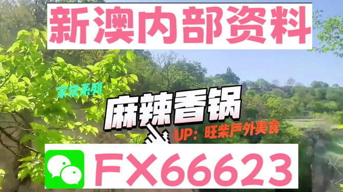 新澳資料最準的網(wǎng)站，權(quán)威數(shù)據(jù)來源與精準信息獲取指南，新澳資料最準網(wǎng)站，權(quán)威數(shù)據(jù)來源與精準信息獲取一站式指南