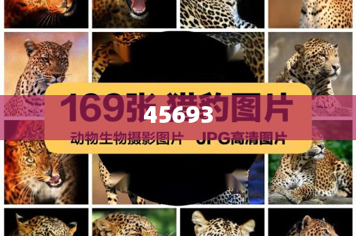 全新升級，7777888888精準新管家，全新升級管家，精準管理，一站式服務 7777888888新管家重磅來襲