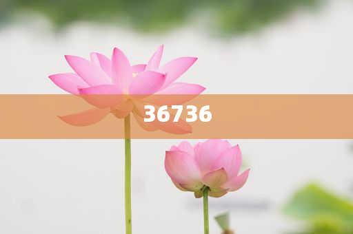 揭秘7777788888精準(zhǔn)新傳真，真相大揭秘，揭秘精準(zhǔn)新傳真背后的真相，77777與88888的神秘面紗被揭開