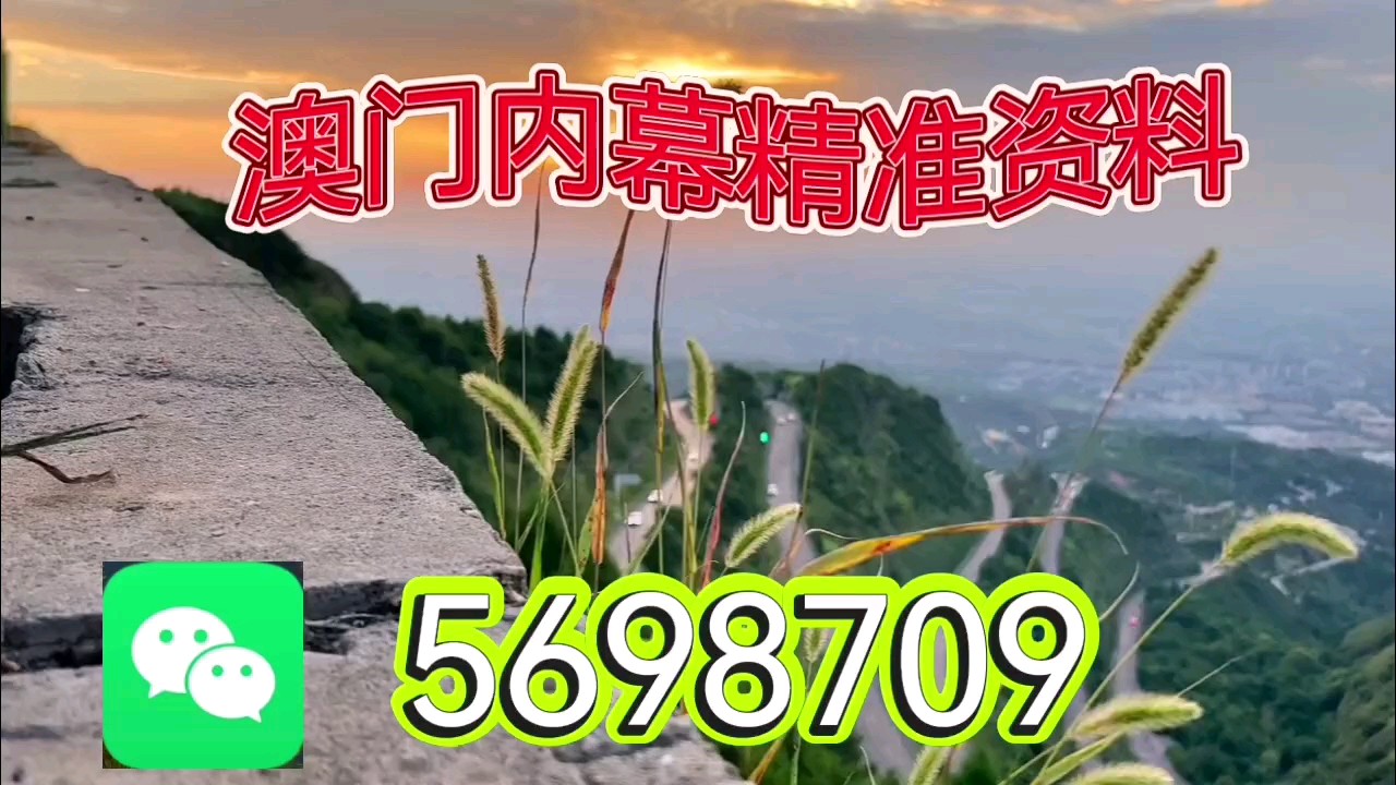新澳天天開彩資料大全，探索彩票世界的奧秘，探索彩票世界奧秘，新澳天天開彩資料大全