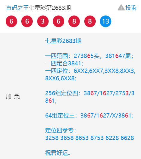 王中王一肖中特4487，揭秘背后的故事與奧秘，揭秘王中王一肖中特4487背后的故事與奧秘