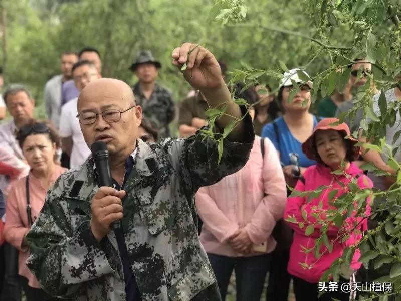 長期吃紅棗的潛在害處，了解并平衡飲食健康，長期食用紅棗的潛在風險與飲食平衡的重要性