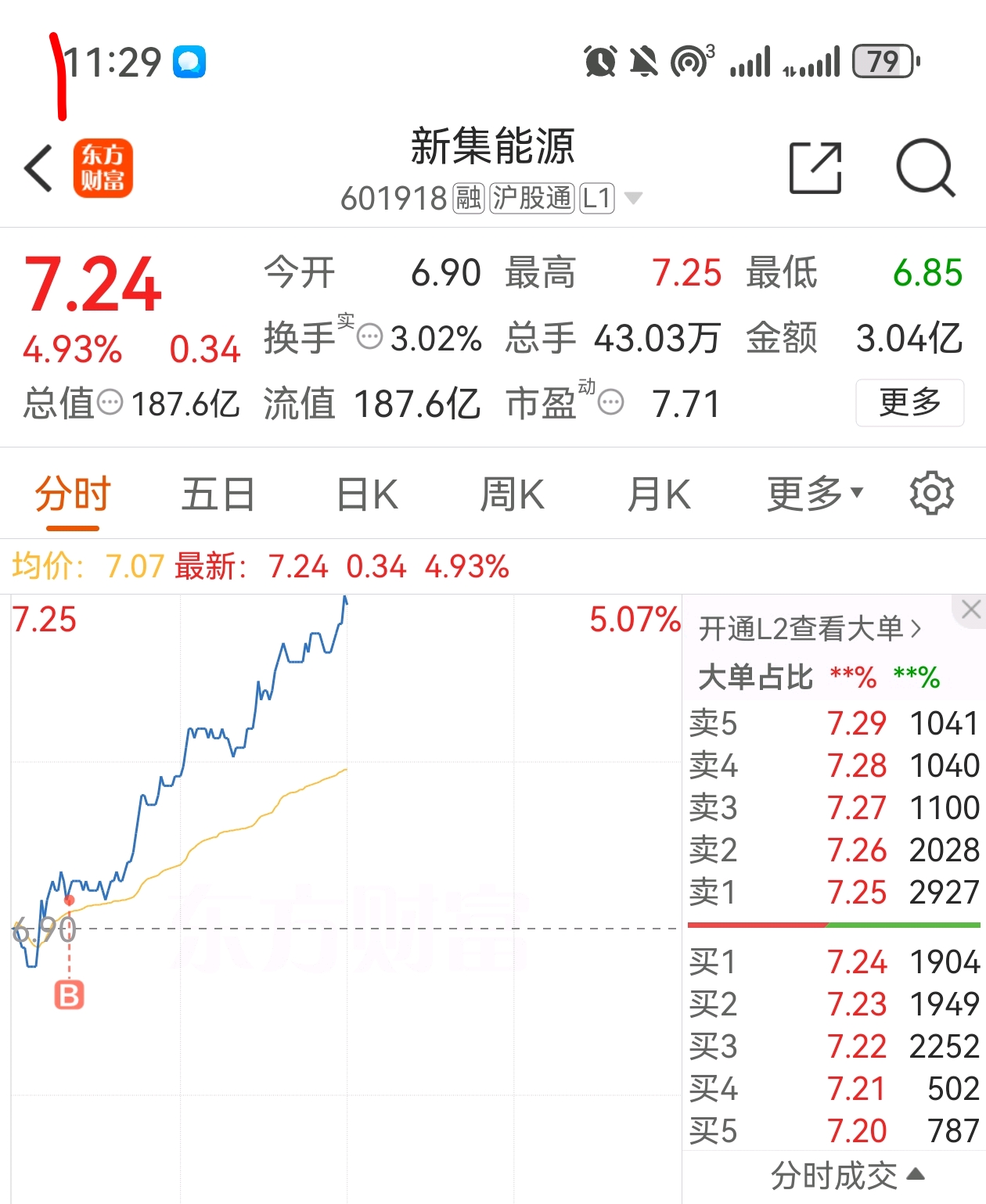 新能股份股票，深度解析與前景展望，新能股份股票深度解析及前景展望