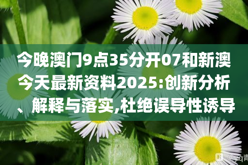 新澳今天最新資料，深度解讀與探索，新澳今日深度解讀與探索最新資料