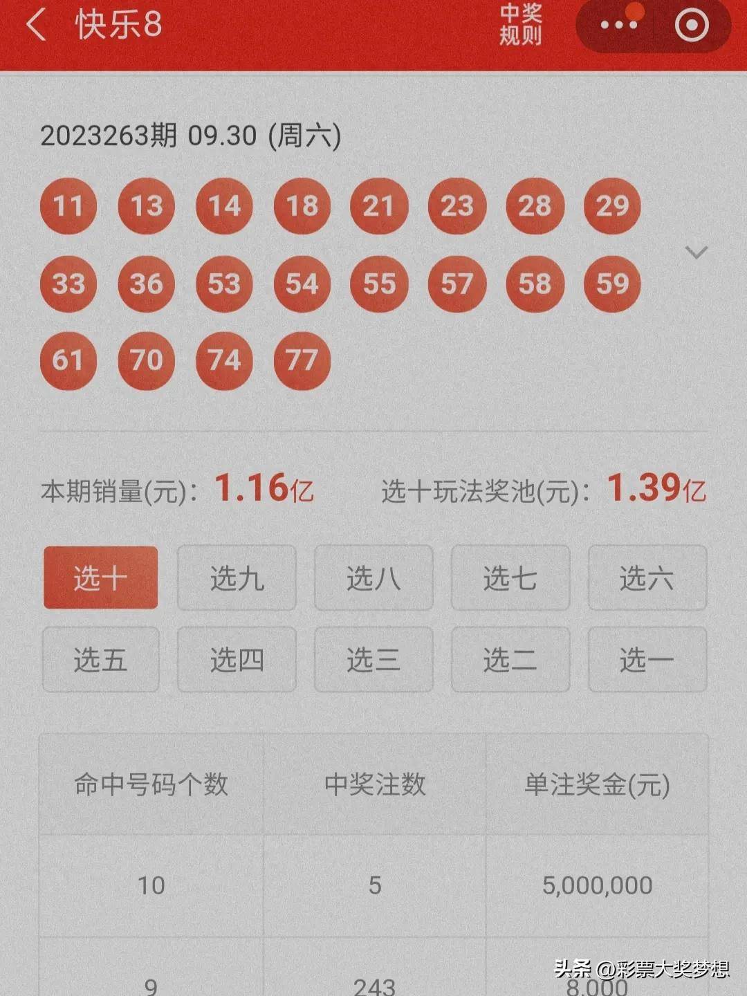 揭秘王中王四肖必中一肖中特，深度解析與SEO優(yōu)化策略，揭秘王中王四肖必中一肖中特，深度解析與SEO策略全攻略