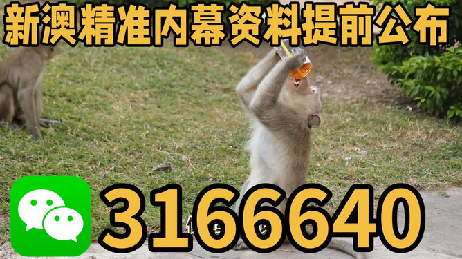 探索澳門特馬文化，四不像的獨特魅力與未來展望（關(guān)鍵詞，澳門特馬四不像），澳門特馬四不像文化深度探索，魅力、展望與未來發(fā)展