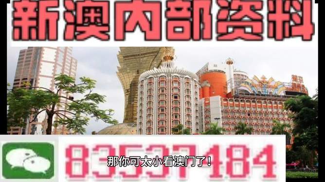 新澳新澳門正版資料，探索與解析，新澳新澳門正版資料深度解析與探索