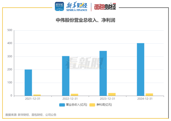 中偉股份股票，深度解析與前景展望，中偉股份股票深度解析及前景展望