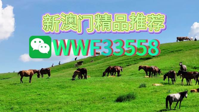 揭秘精準(zhǔn)預(yù)測(cè)一肖的秘密，解碼77777與88888的神秘?cái)?shù)字組合，揭秘精準(zhǔn)預(yù)測(cè)生肖的秘密，數(shù)字組合77777與88888的神秘解碼