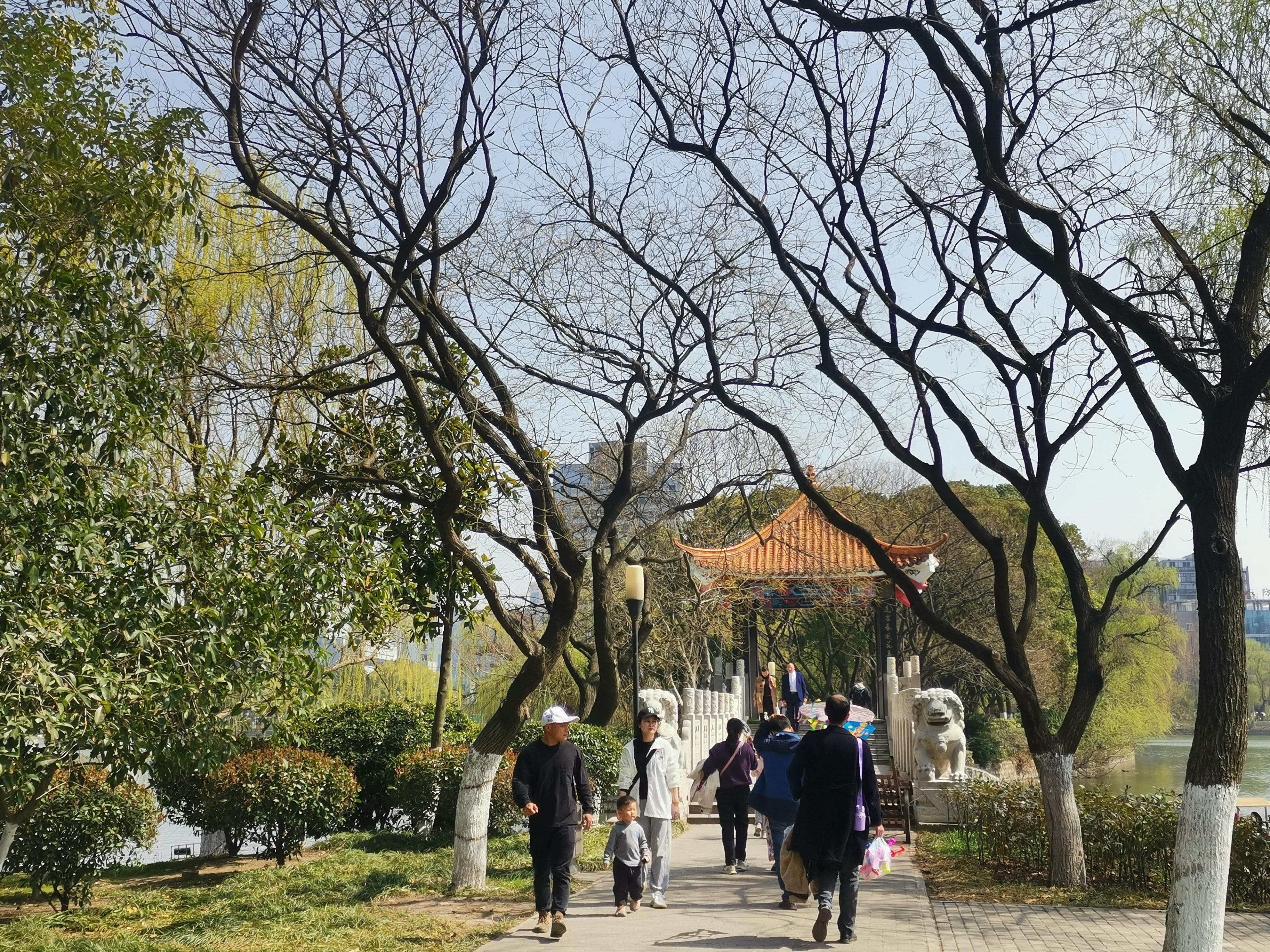 澳門(mén)75期最快天天開(kāi)獎(jiǎng)，揭秘彩票背后的秘密與策略，澳門(mén)75期天天開(kāi)獎(jiǎng)揭秘，彩票背后的秘密與策略探究