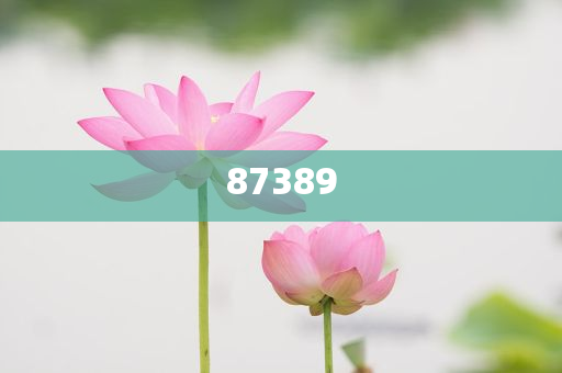 一肖是否包括特肖？深度解析生肖文化中的奧秘，深度解析生肖文化，一肖是否包含特肖？