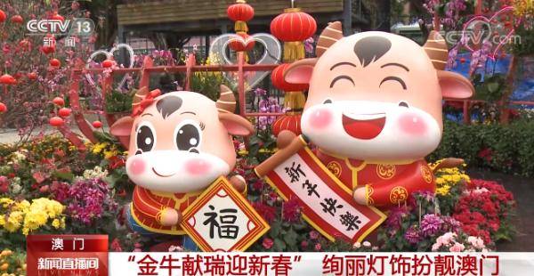 澳門金牛網(wǎng)金牛版論壇——探索與解析，澳門金牛網(wǎng)金牛版論壇，深度探索與解析