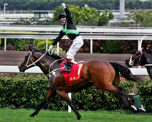 香港王中王一肖中特馬