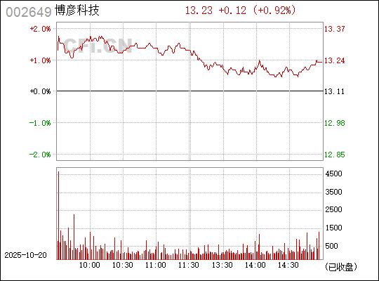 關(guān)于代碼002649的深入解析與SEO優(yōu)化策略，代碼002649深度解析與SEO優(yōu)化指南