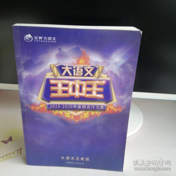 揭秘2019王中王資料一肖，全方位解讀背后的故事，揭秘王中王資料一肖背后的故事，全方位解讀與深度剖析