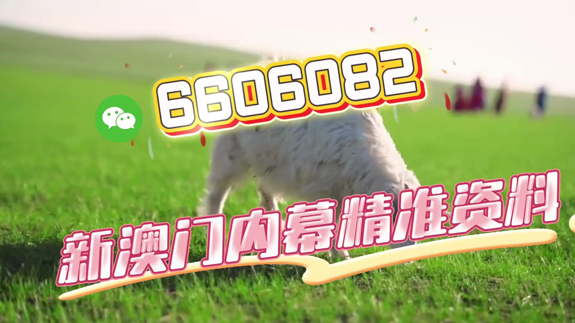 新澳門一肖一碼中恃一句——揭秘與探索彩票奧秘，揭秘彩票奧秘，新澳門一肖一碼中特選號碼背后的秘密