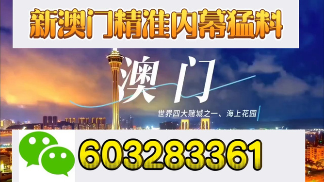 新澳門開獎結(jié)果，探索與解析，新澳門開獎結(jié)果深度解析與探索