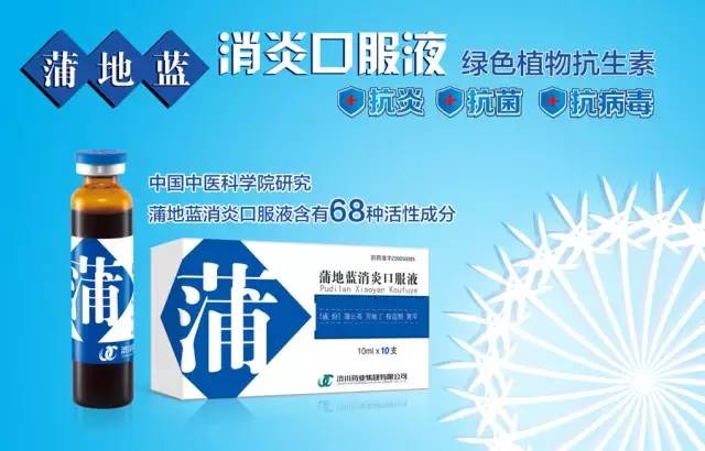 蒲地藍口服液的功效與作用，深入了解與正確使用，蒲地藍口服液，功效、作用及正確使用指南